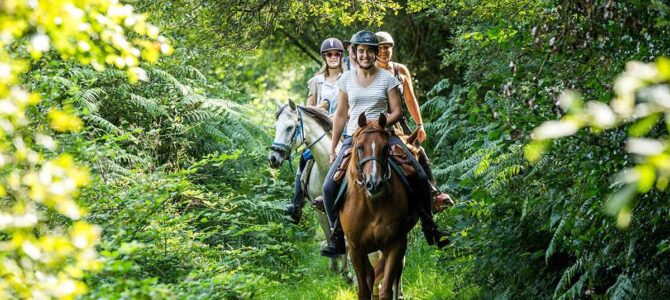 Organiser une excursion à cheval réussie : Guide complet